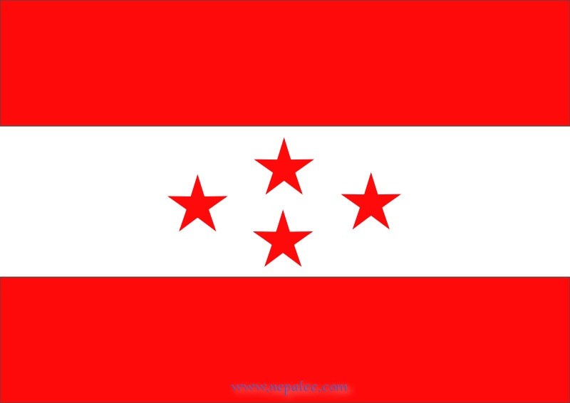 nepali-congress-flag-1482321484.jpg