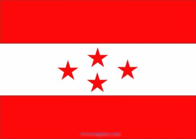nepali-congress-flag-1485515388.jpg