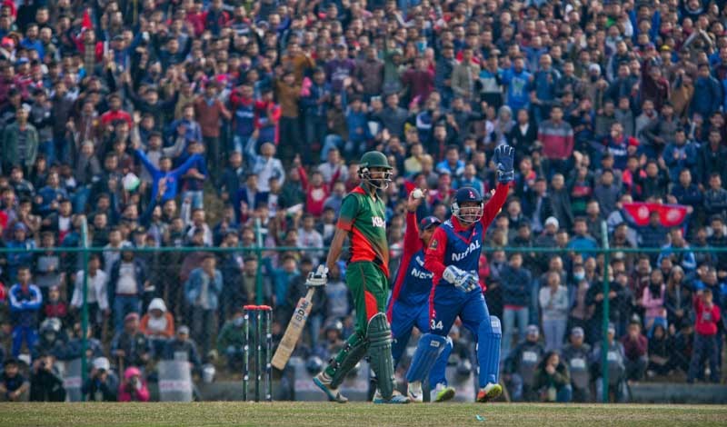Cricket-1489399666.jpg