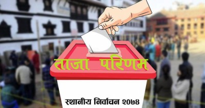 Local-Election-cap-1499237536.jpg
