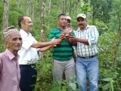 Salaaak-1500611834.jpg