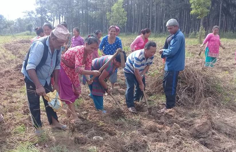 Chitrepani-1500813116.jpg