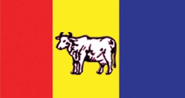 RapraPaaaa-1502024974.jpg