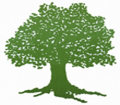 tree-1505893559.jpg
