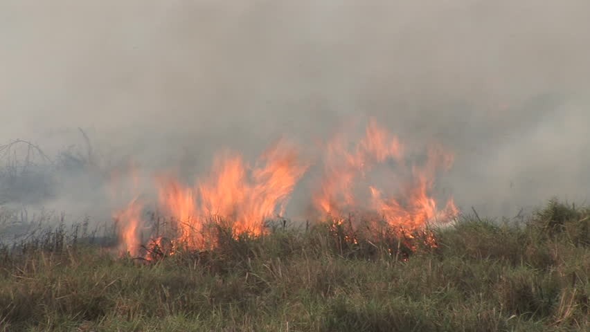 Fire-1513751393.jpg