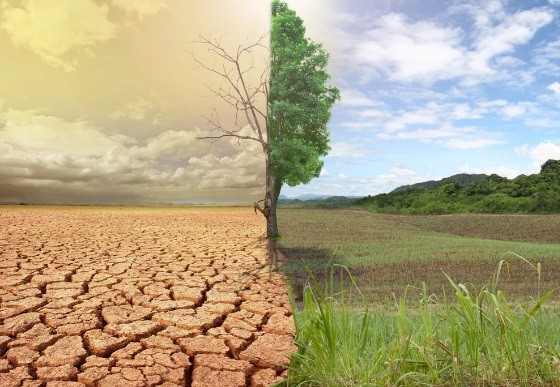 Climate-Change-1515072946.jpg