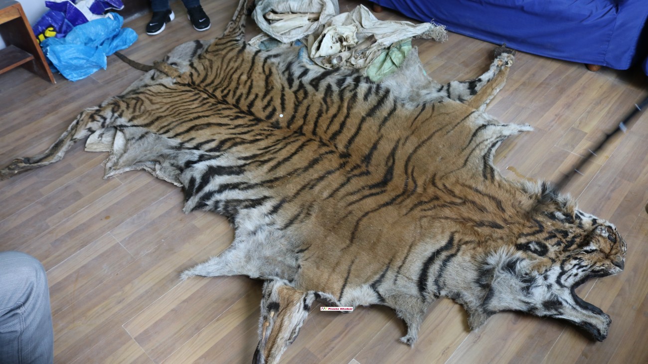 P1-1525689084.jpg