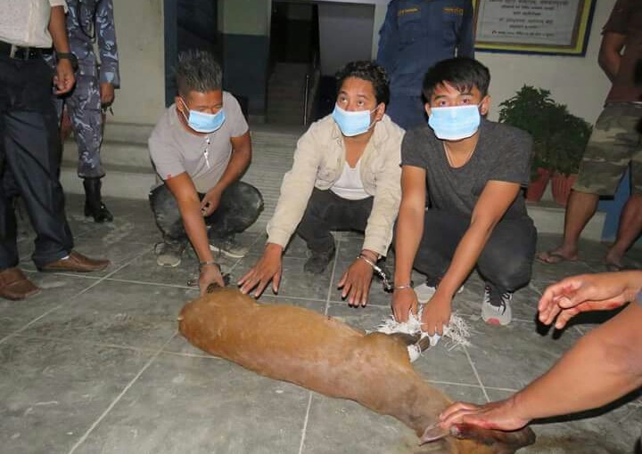 FB_IMG_1525971934610-1-1525972043.jpg