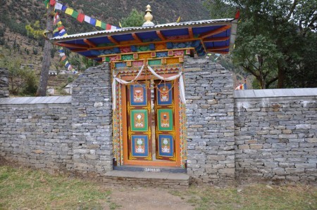Gumba-1535810467.jpg
