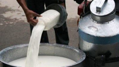 Milk-1543672504.jpg