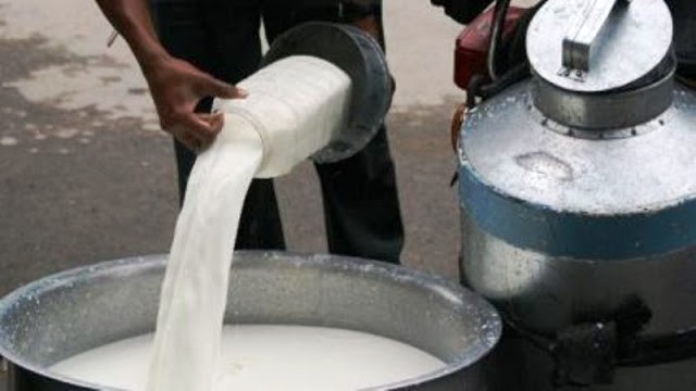Milk-1543672504.jpg
