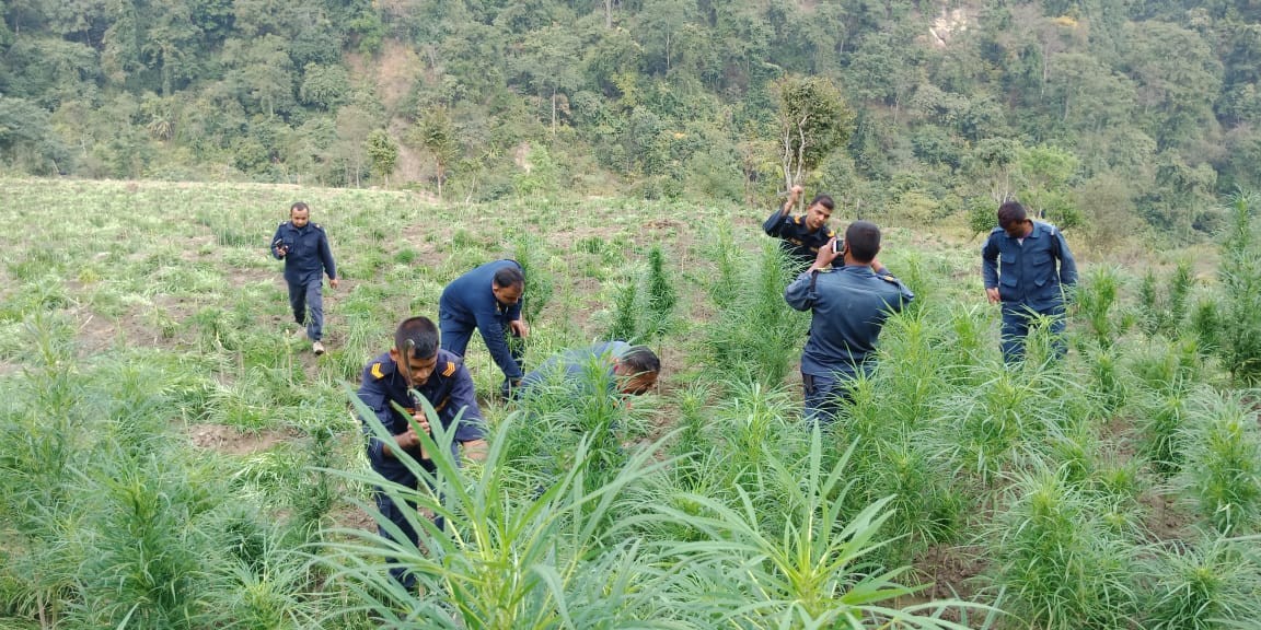 १-1545752357.jpg
