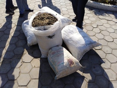 ganja-1551160937.jpg