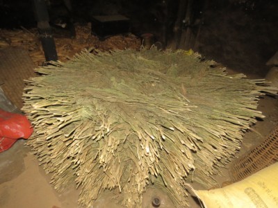 Gajaa-1553439422.JPG
