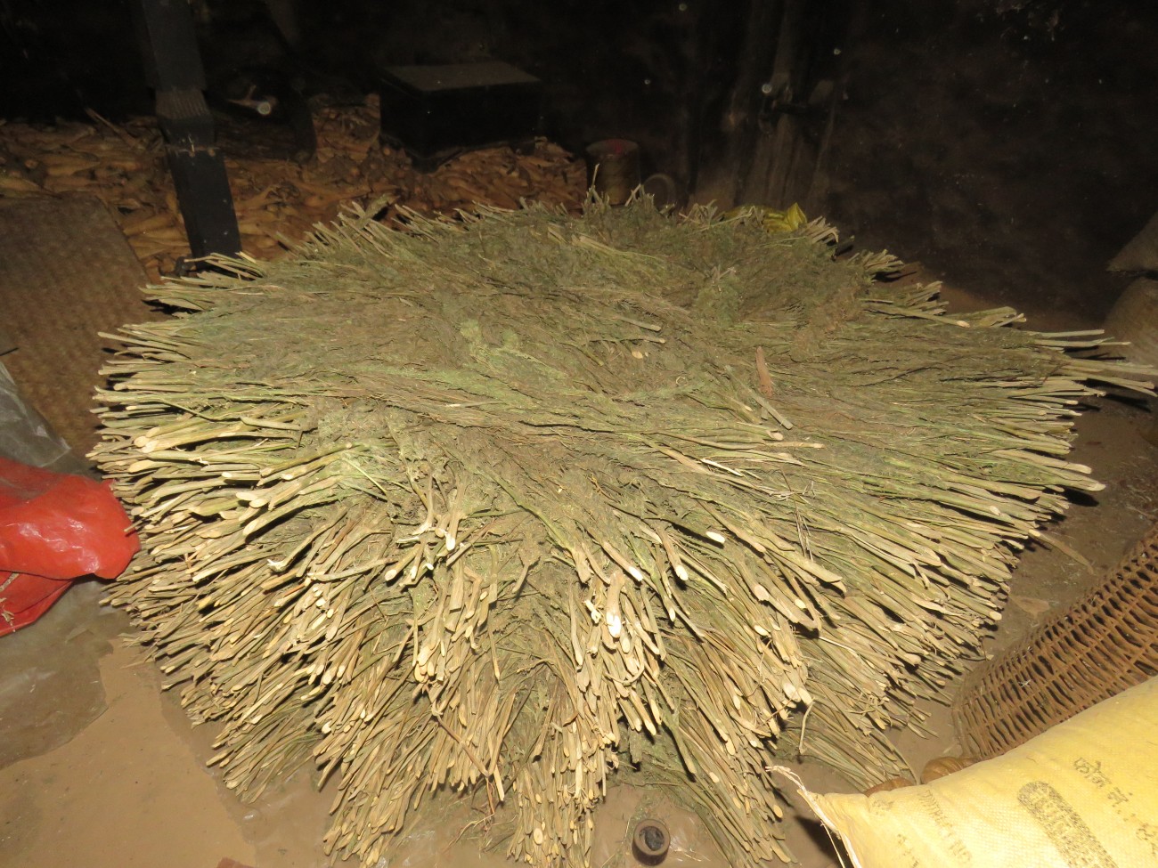 Gajaa-1553439422.JPG