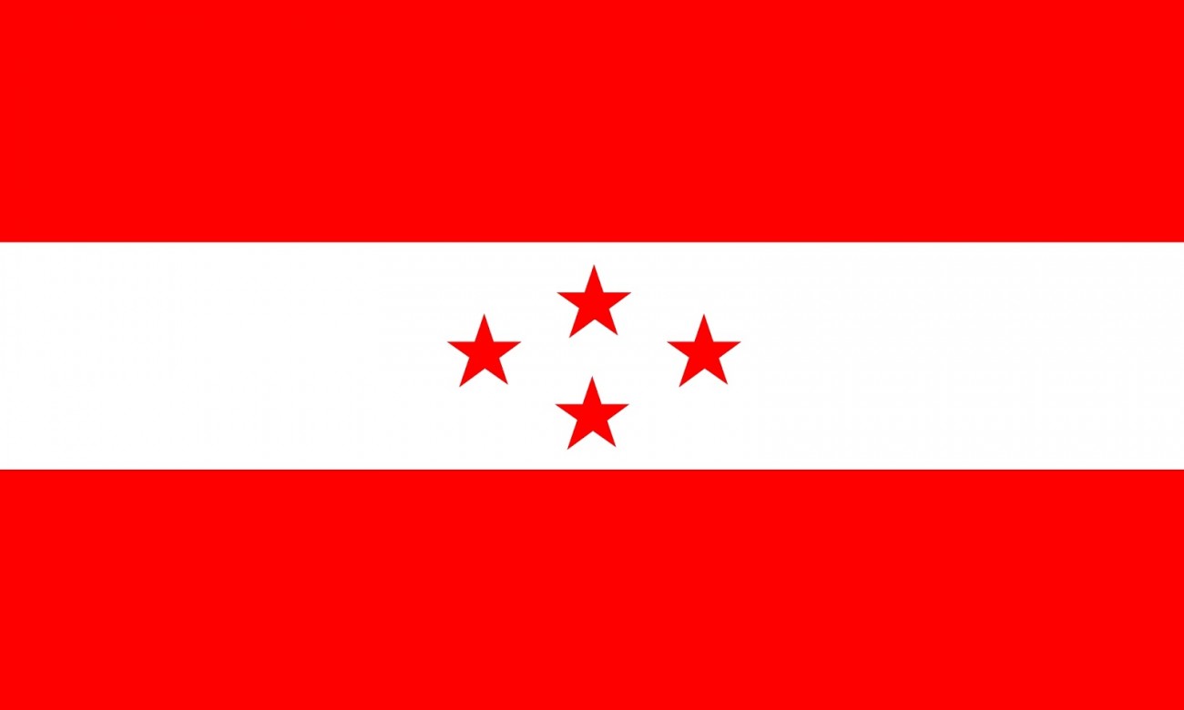 nepali-congress-flag-1556808002.jpg