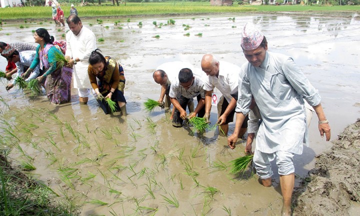 dhan-diwas-8-1561858126.jpg