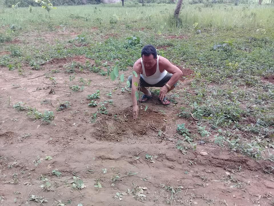 Plantation-1562401957.jpg