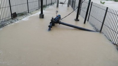 Gardoi-Pump-1562921109.jpg
