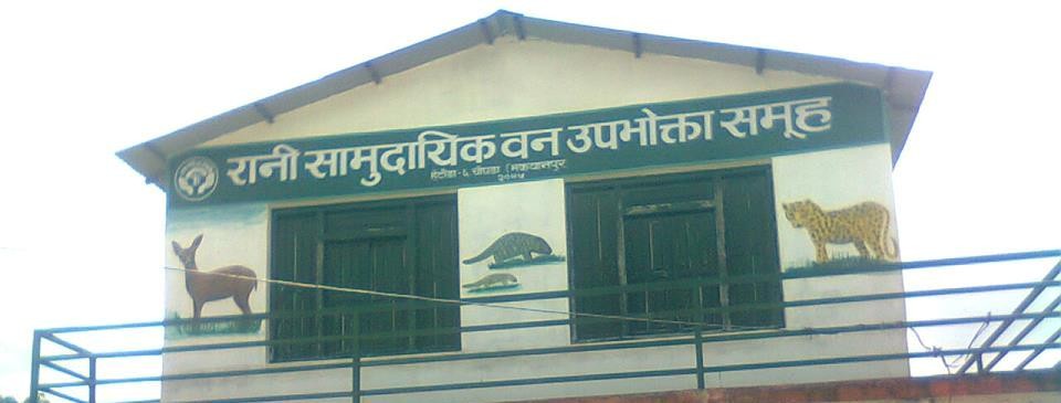 Rani-Ban-1563544782.jpg