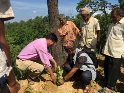 Chuchekhola-1564673022.jpg