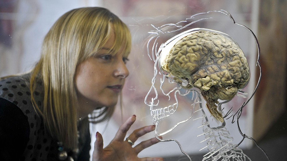 Women_brain_12_527469403-1564968588.jpg