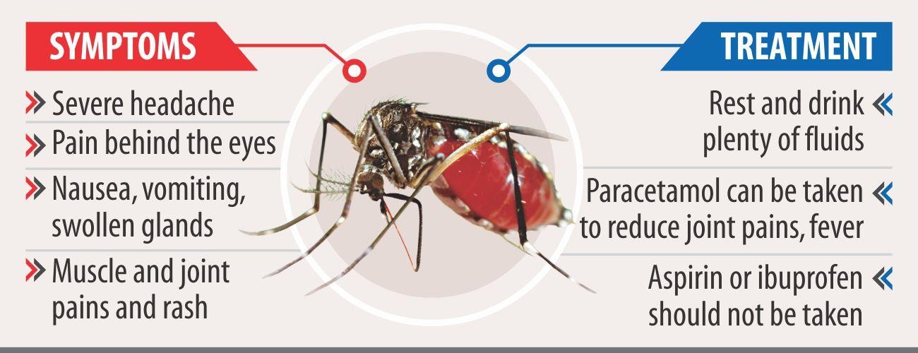 dengue_3-1565053328.jpg