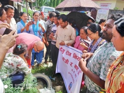 Dengue-1565360489.jpg