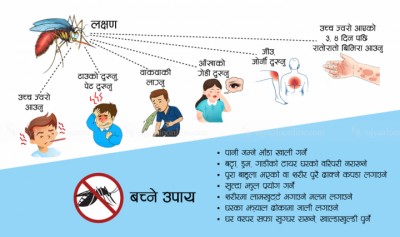 Dengue_symtoms_copy_fpCuU-1567818836.jpg