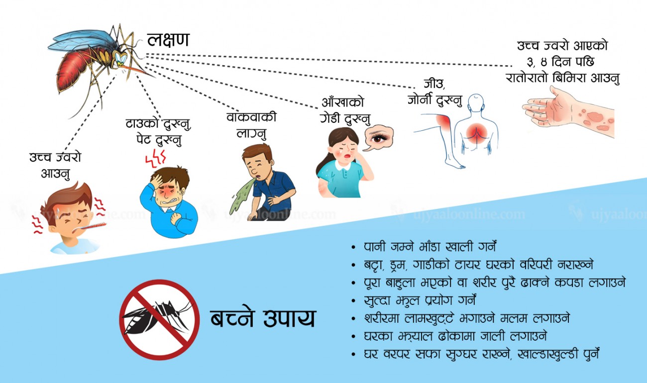 Dengue_symtoms_copy_fpCuU-1567818836.jpg