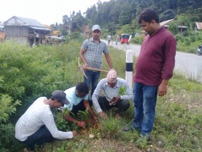 Plantation-1570204737.jpg