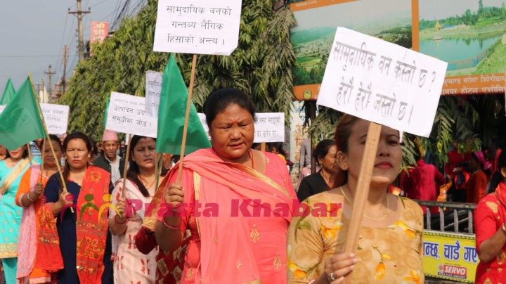 Fecofun-Andolan-(4)-1574413150.JPG