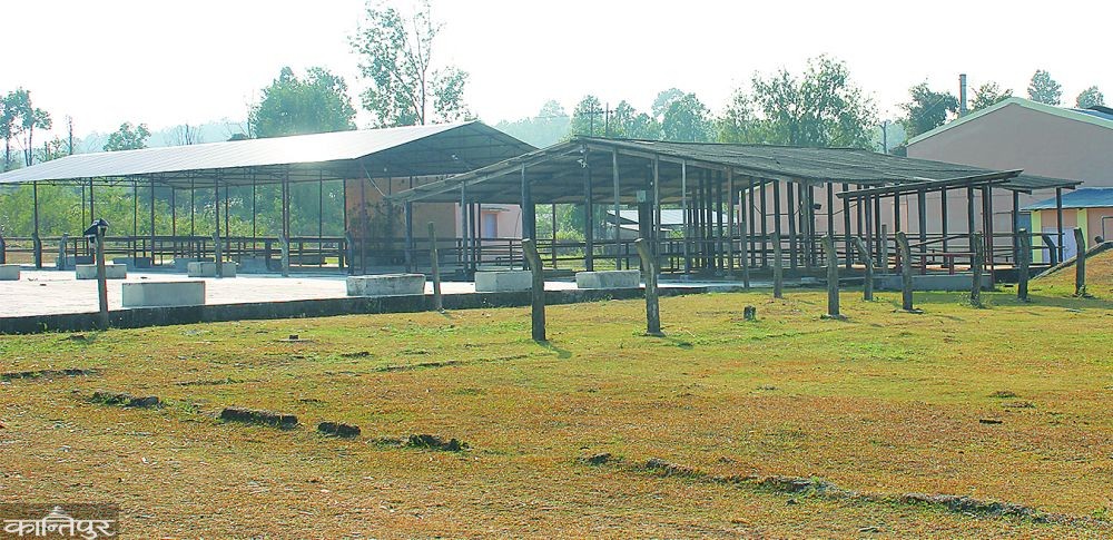 Badsala-1577167585.jpg