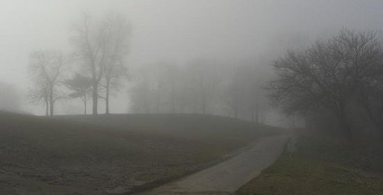 Foggy-1578282796.jpg