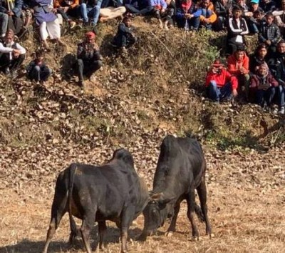 ox_gorkha_7_NJc92aQcT8-1579083425.jpg
