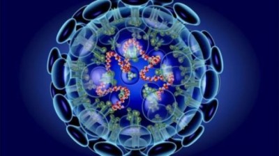 corona_virus_tuL25Ga2c9-1-1582422032.jpg