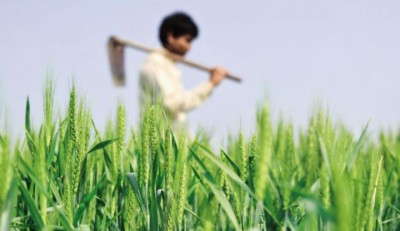 Kisaan-1582637809.jpg