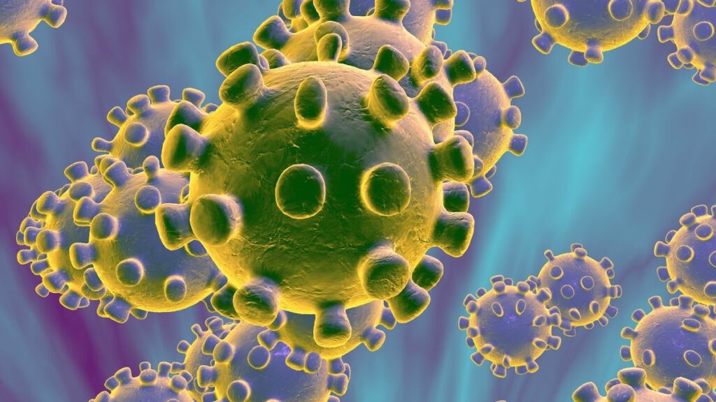 Corona_Virus_2lX9cHRWw3-1-1585204689.jpg