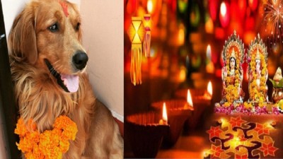 1572162436Kukur_Tihar_and-1605317076.jpg