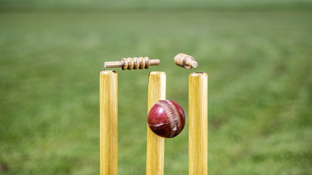 Cricket-1634715164.jpg