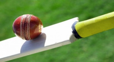 Cricket-1642503612.jpg