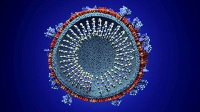 _118313888_sciencephotoli-1674788233.jpg