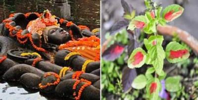 ekadasi-1700702029.jpg