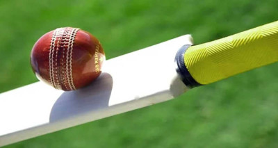 cricket-1701674903.jpg
