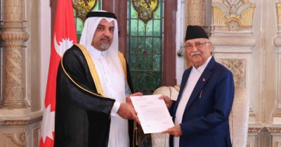 KP-Oli-1723559538-1723615181.jpg