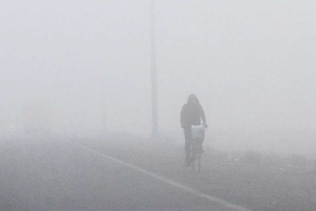 Fog_1-1637851144-1766366043.jpg
