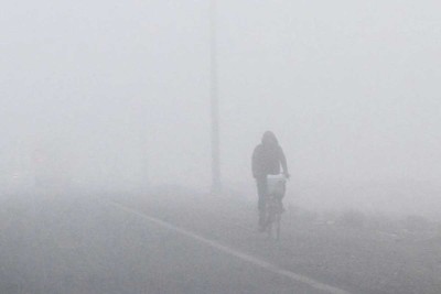 Fog_1-1637851144-1766971556.jpg