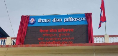 55564-1769477566.jpg