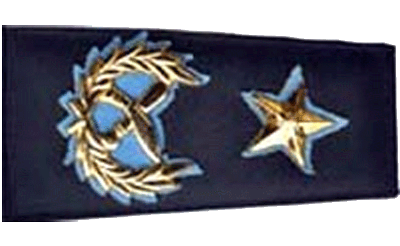 AIG-1783006442.gif