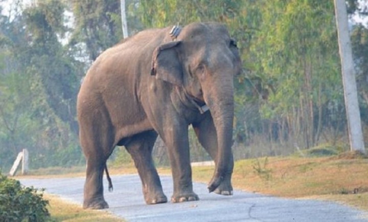 makuna-hatti_chitwan-1701-1783221813.jpg